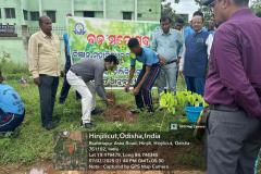 \"ବନ ମହୋତ୍ସବ\" Organized by NCC,NSS,YRC,RANGERS AND ROVERS