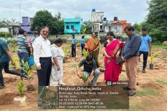 Plantation Programe